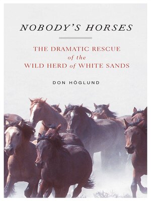 cover image of Nobody's Horses